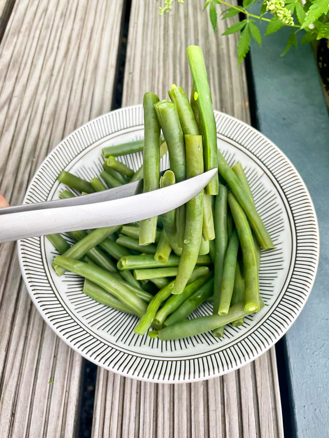 Gourmetpinzette im Geschenkkarton