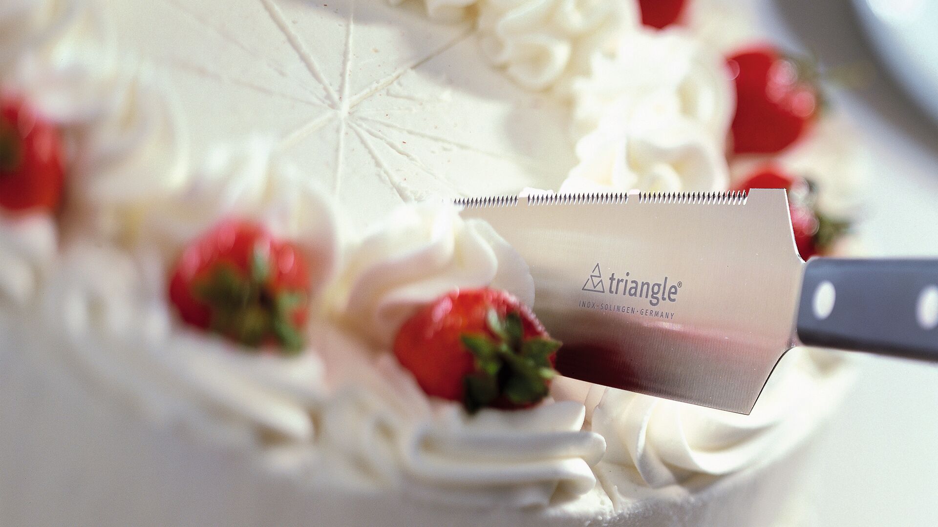 triangle Tortenmesser