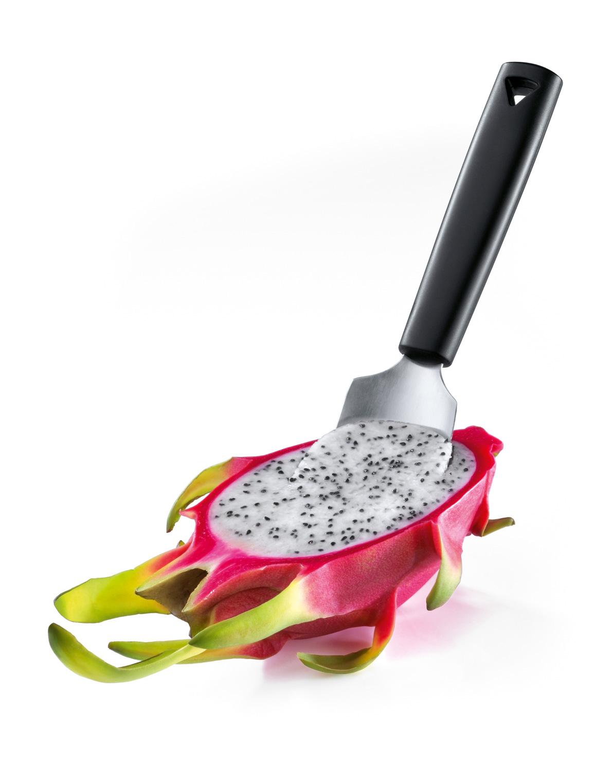 7282060-pithaya-v01-web