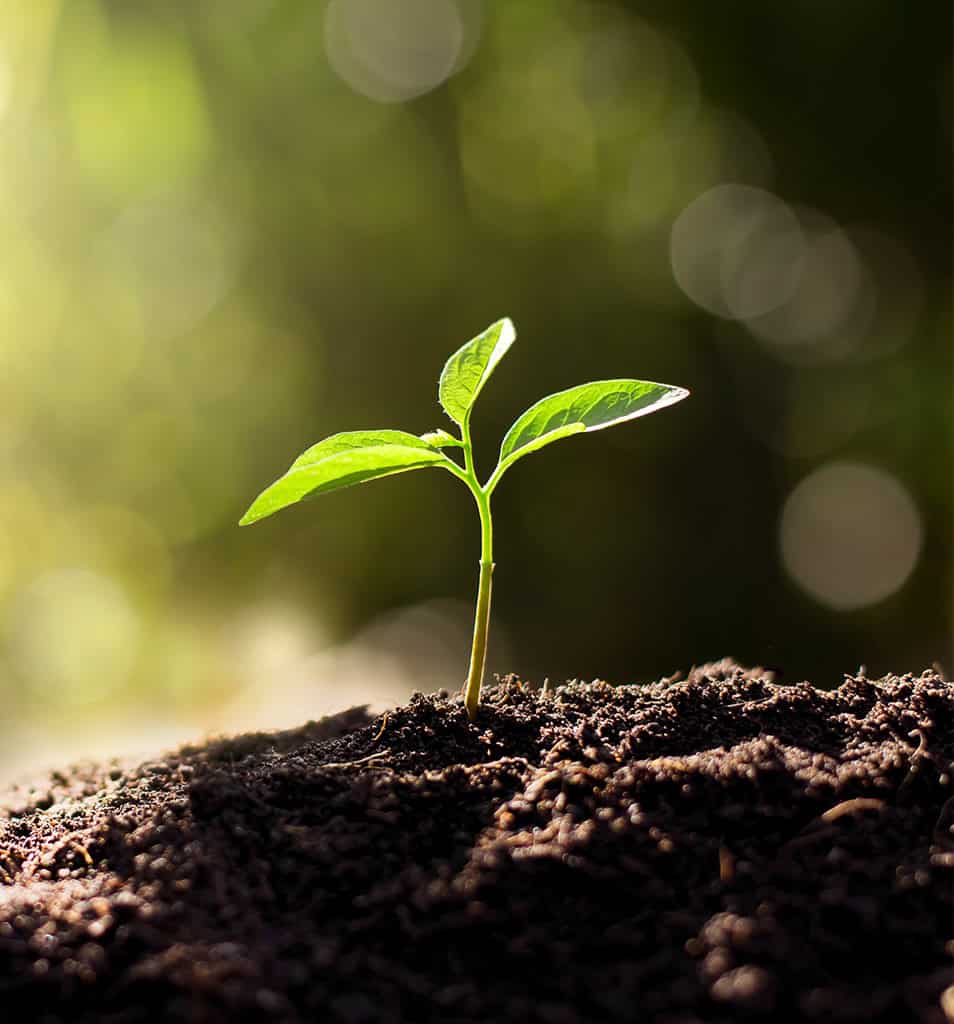 gelebte-nachhaltigkeit_slider